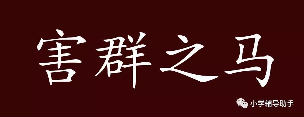 害群之马是什么意思｜何为害群之马_深入数据应用分析