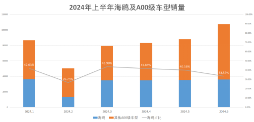 2025年度最迷人气候风采全新升级版